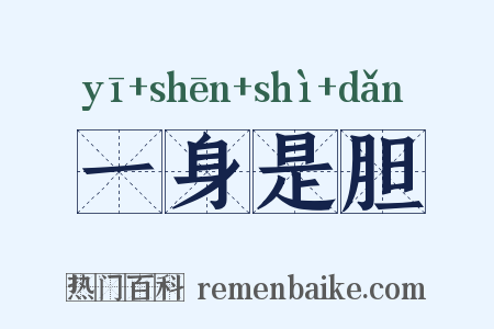 一身是胆是什么意思的图片